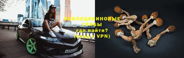 экстази Краснослободск