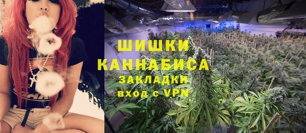 шишки Яранск