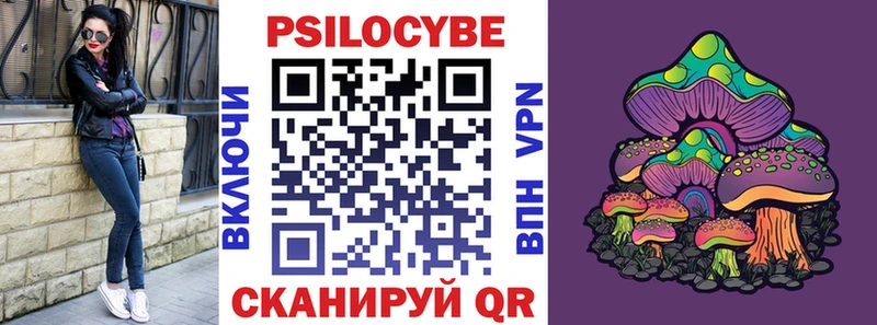 Галлюциногенные грибы Cubensis  где продают наркотики  Ессентуки 